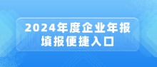 2024ҵ걨